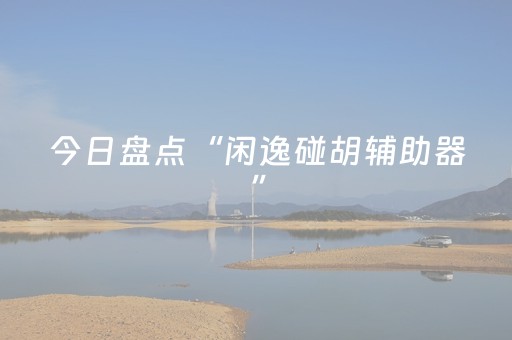 今日盘点“闲逸碰胡辅助器”（详细辅助教程）-哔哩哔哩
