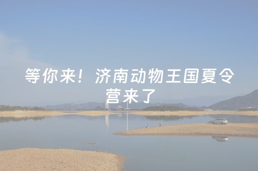 实测教程“微乐跑得快小程序必赢神器”（详细透视教程）-哔哩哔哩