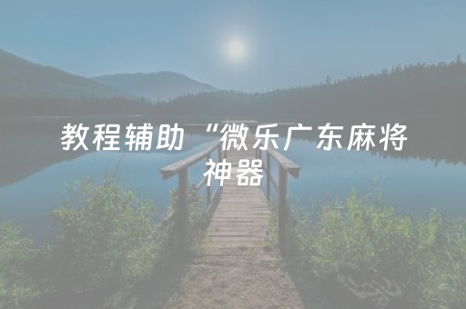 教程辅助“微乐广东麻将神器（专用辅牌神器免安装）