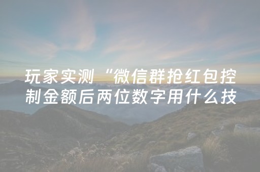 玩家实测“微信群抢红包控制金额后两位数字用什么技巧”（详细透视教程）-哔哩哔哩