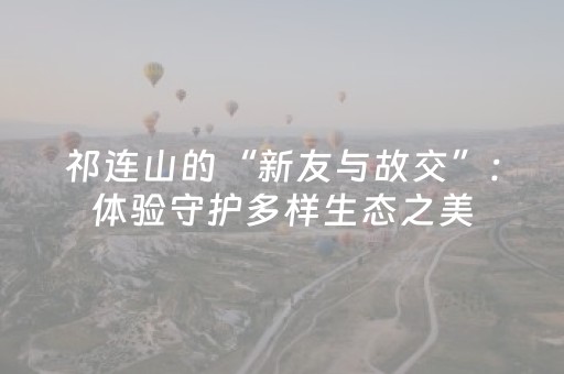 玩家必看教程！“”（详细透视教程）-哔哩哔哩