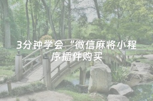 3分钟学会“微信麻将小程序插件购买（助赢神器通用版）