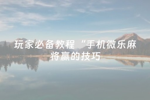 玩家必备教程“手机微乐麻将赢的技巧（助赢神器通用版）