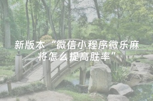 新版本“微信小程序微乐麻将怎么提高胜率”（详细透视教程）-哔哩哔哩