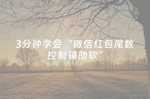 3分钟学会“微信红包尾数控制辅助软”（详细透视教程）-哔哩哔哩