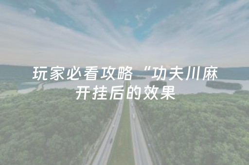 玩家必看攻略“功夫川麻开挂后的效果（专用辅牌神器免安装）