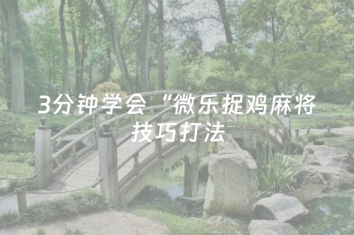 3分钟学会“微乐捉鸡麻将技巧打法（助赢神器通用版）