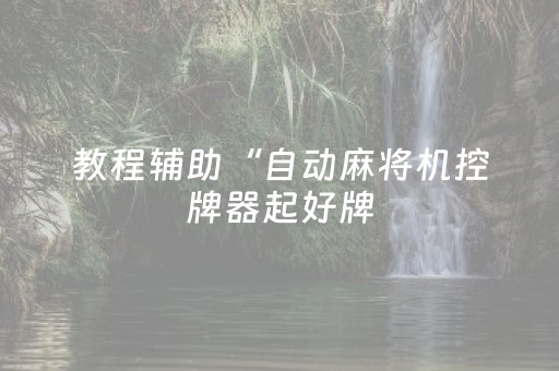 教程辅助“自动麻将机控牌器起好牌（专用辅牌神器免安装）