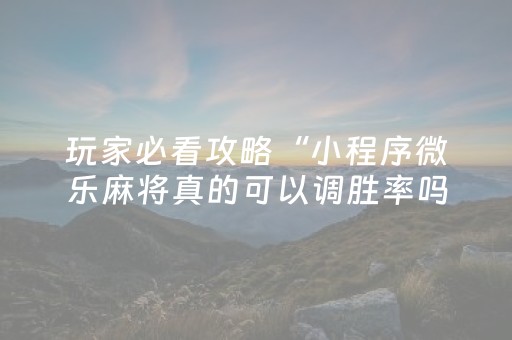 玩家必看攻略“小程序微乐麻将真的可以调胜率吗（助赢神器通用版）