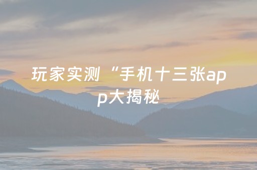 玩家实测“手机十三张app大揭秘（助赢神器通用版）