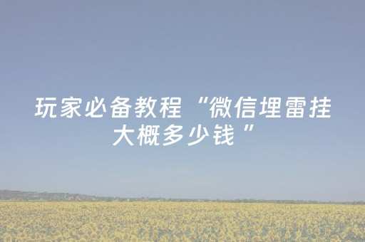 玩家必备教程“微信埋雷挂大概多少钱 ”（详细透视教程）-哔哩哔哩