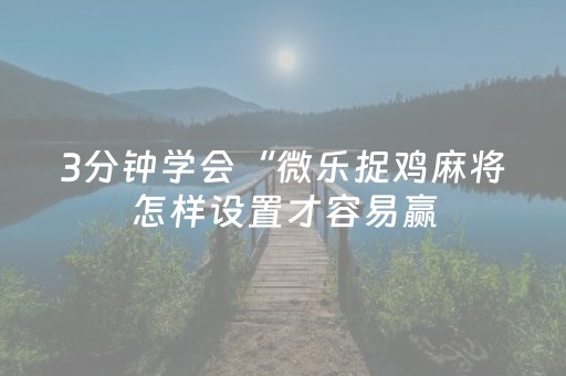 3分钟学会“微乐捉鸡麻将怎样设置才容易赢（专用辅牌神器免安装）
