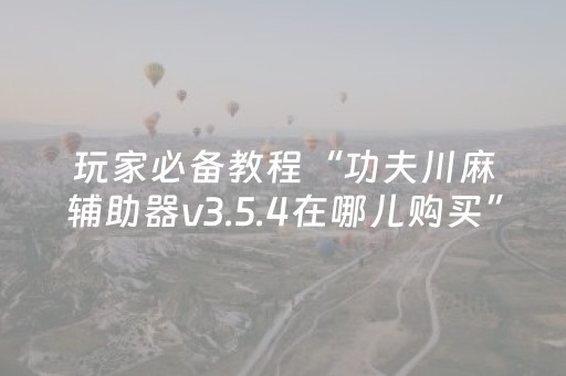 玩家必备教程“功夫川麻辅助器v3.5.4在哪儿购买”（详细透视教程）-哔哩哔哩