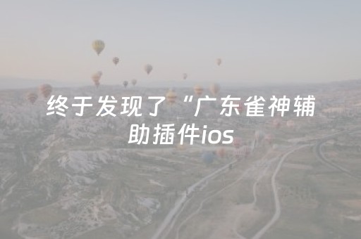 终于发现了“广东雀神辅助插件ios（专用辅牌神器免安装）