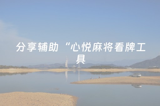 分享辅助“心悦麻将看牌工具（助赢神器通用版）