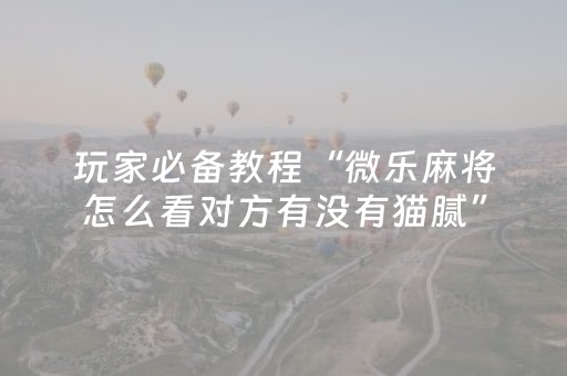 玩家必备教程“微乐麻将怎么看对方有没有猫腻”（详细透视教程）-哔哩哔哩