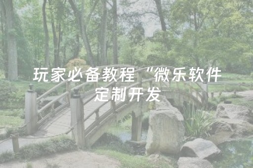 玩家必备教程“微乐软件定制开发（助赢神器通用版）