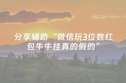 分享辅助“微信玩3位数红包牛牛挂真的假的”（详细透视教程）-哔哩哔哩