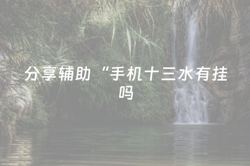 分享辅助“手机十三水有挂吗（专用辅牌神器免安装）