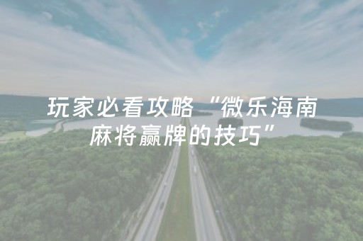 玩家必看攻略“微乐海南麻将赢牌的技巧”（详细透视教程）-哔哩哔哩