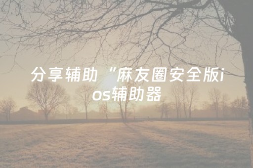 分享辅助“麻友圈安全版ios辅助器（专用辅牌神器免安装）