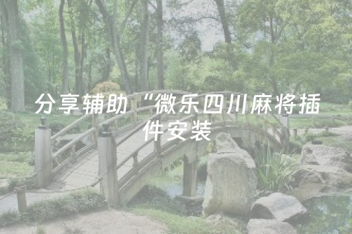 分享辅助“微乐四川麻将插件安装（专用辅牌神器免安装）
