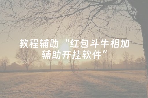 教程辅助“红包斗牛相加辅助开挂软件”（详细透视教程）-哔哩哔哩