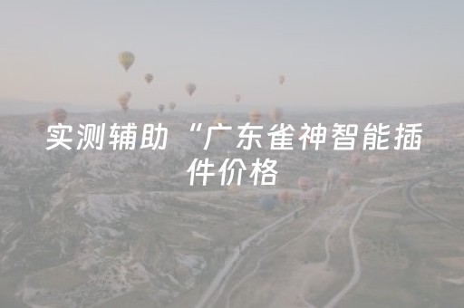 实测辅助“广东雀神智能插件价格（专用辅牌神器免安装）