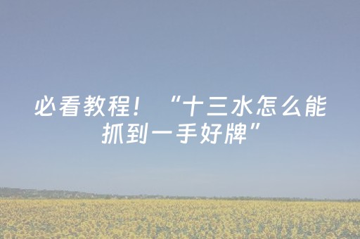 必看教程！“十三水怎么能抓到一手好牌”（详细开挂教程）-哔哩哔哩