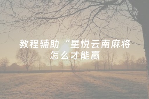 教程辅助“星悦云南麻将怎么才能赢（助赢神器通用版）