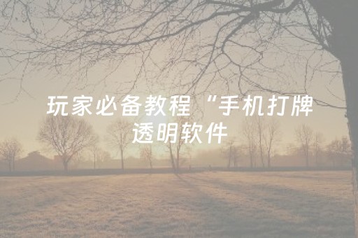 玩家必备教程“手机打牌透明软件（助赢神器通用版）