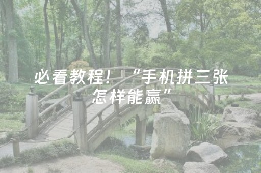 必看教程！“手机拼三张怎样能赢”（详细辅助教程）-哔哩哔哩
