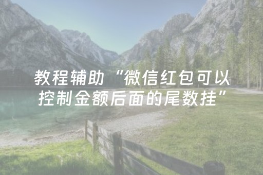 教程辅助“微信红包可以控制金额后面的尾数挂”（详细透视教程）-哔哩哔哩