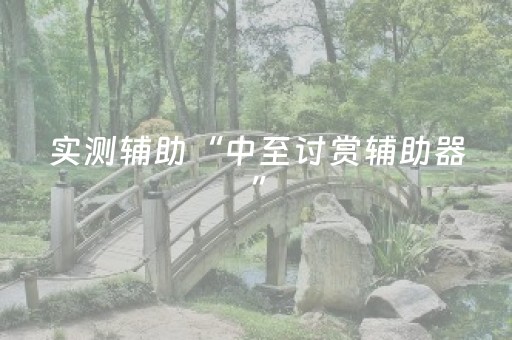 实测辅助“中至讨赏辅助器”（详细透视教程）-哔哩哔哩