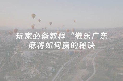 玩家必备教程“微乐广东麻将如何赢的秘诀（专用辅牌神器免安装）