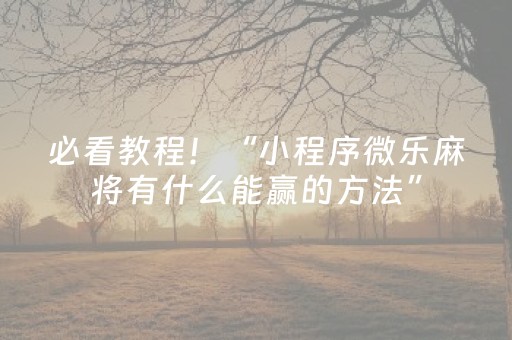 必看教程！“小程序微乐麻将有什么能赢的方法”（详细开挂教程）-哔哩哔哩