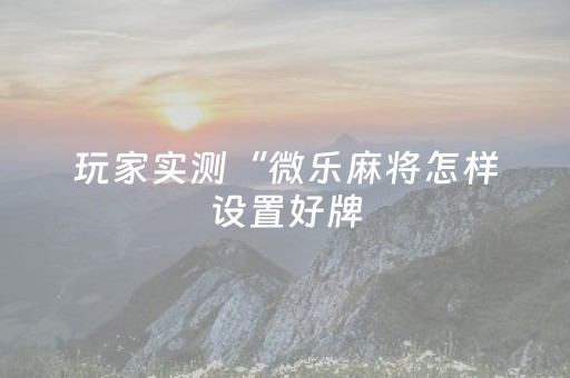 玩家实测“微乐麻将怎样设置好牌（专用辅牌神器免安装）