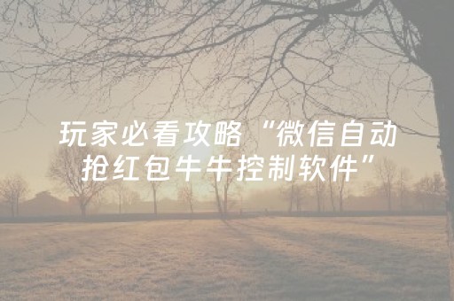 玩家必看攻略“微信自动抢红包牛牛控制软件”（详细透视教程）-哔哩哔哩