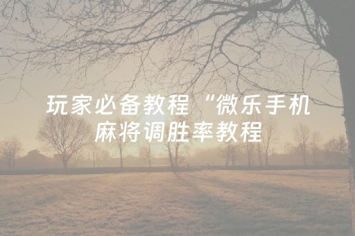 玩家必备教程“微乐手机麻将调胜率教程（助赢神器通用版）