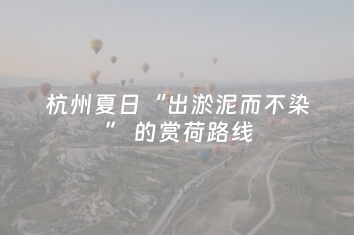 玩家必备教程“微信红包斗牛控制尾数两位0到9”（详细透视教程）-哔哩哔哩