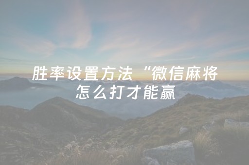 胜率设置方法“微信麻将怎么打才能赢（专用辅牌神器免安装）