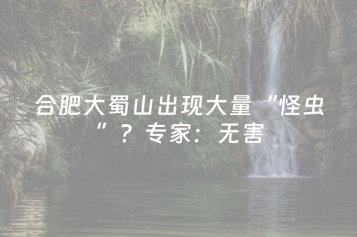 今日盘点“微乐麻将小程序有防作弊吗”（详细辅助教程）-哔哩哔哩
