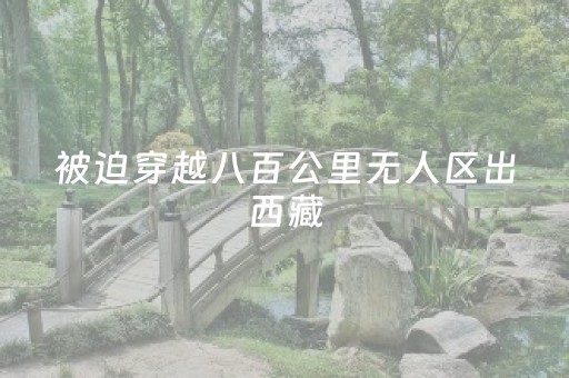 2分钟秒懂！“微信广东麻将赢分技巧”（详细辅助教程）-哔哩哔哩