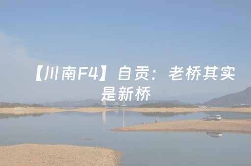 今日实测“手机跑得快助赢神器”（详细辅助教程）-哔哩哔哩