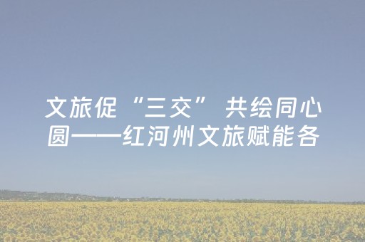 实测辅助“麻将机解码器下载安装”（详细透视教程）-哔哩哔哩