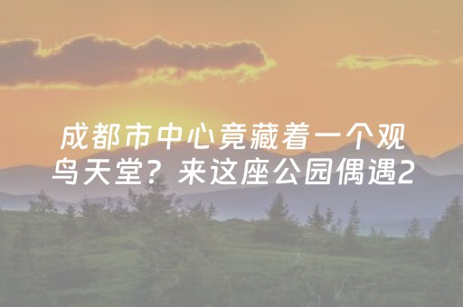 2分钟秒懂！“微乐河南麻将赢牌的技巧”（详细开挂教程）-哔哩哔哩