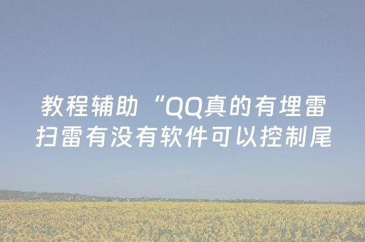 教程辅助“QQ真的有埋雷扫雷有没有软件可以控制尾数”（详细透视教程）-哔哩哔哩