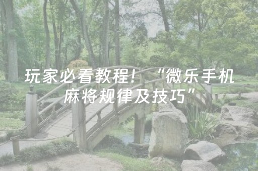 2分钟秒懂！“微信小程序雀神辅助插件”（详细透视教程）-哔哩哔哩