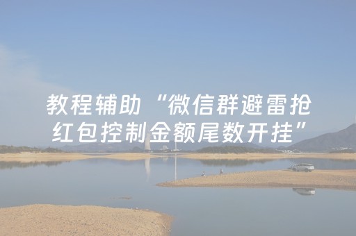 教程辅助“微信群避雷抢红包控制金额尾数开挂”（详细透视教程）-哔哩哔哩