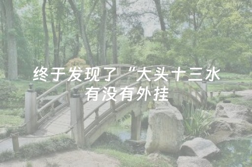 终于发现了“大头十三水有没有外挂（专用辅牌神器免安装）
